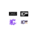 Four different logos with stylized 'C' designs on a white background